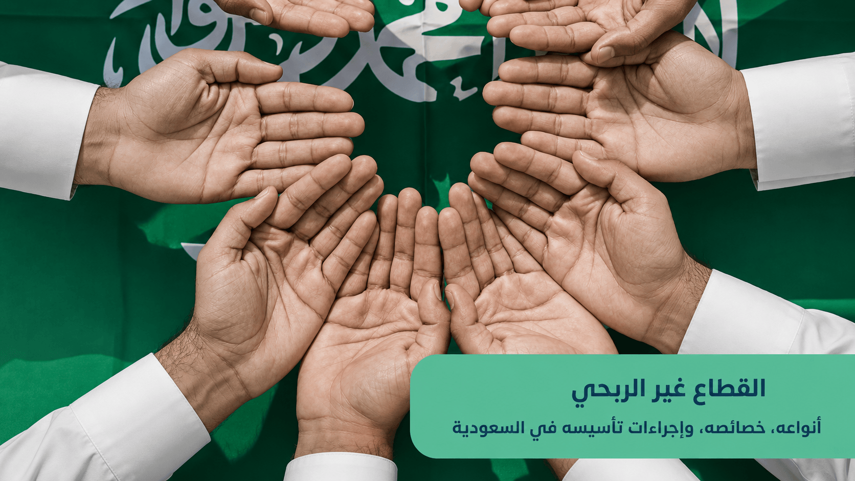 القطاع غير الربحي: أنواعه، خصائصه، وإجراءات تأسيسه في السعودية